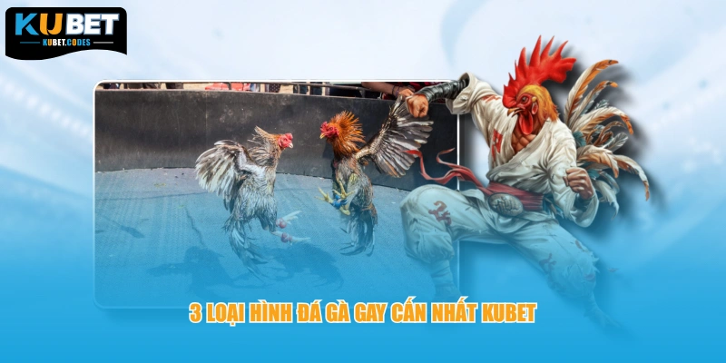 3 loại hình đá gà gay cấn nhất KUBET