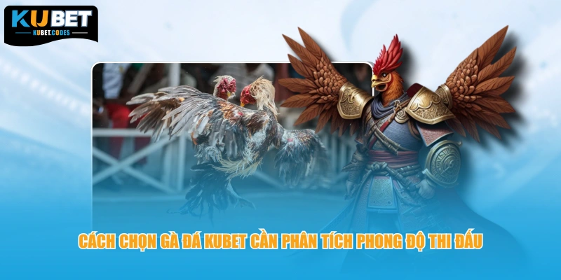 Cách chọn gà đá Kubet cần phân tích phong độ thi đấu 