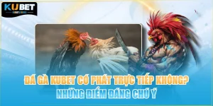 Đá Gà Kubet Có Phát Trực Tiếp Không? Những Điểm Đáng Chú Ý