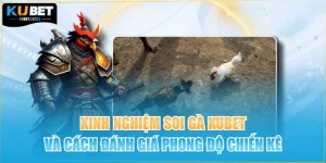 Kinh Nghiệm Soi Gà KUBET Và Cách Đánh Giá Phong Độ Chiến Kê