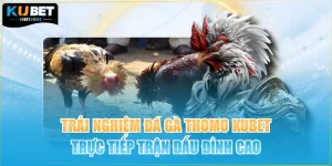 Trải Nghiệm Đá Gà Thomo KUBET Trực Tiếp Trận Đấu Đỉnh Cao