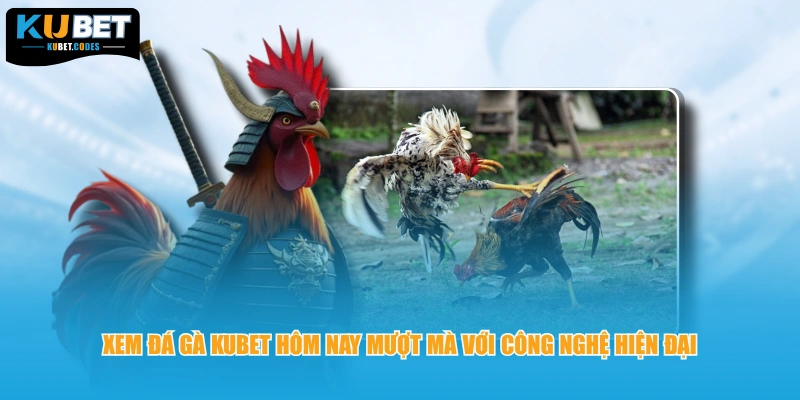 Xem đá gà KUBET hôm nay mượt mà với công nghệ hiện đại