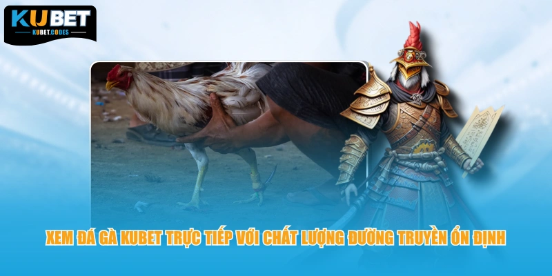 Xem đá gà Kubet trực tiếp với chất lượng đường truyền ổn định 