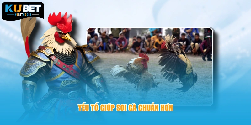 Yếu tố giúp soi gà chuẩn hơn